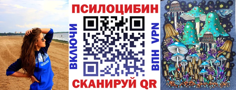 omg ONION  Сковородино  Галлюциногенные грибы GOLDEN TEACHER  магазин   